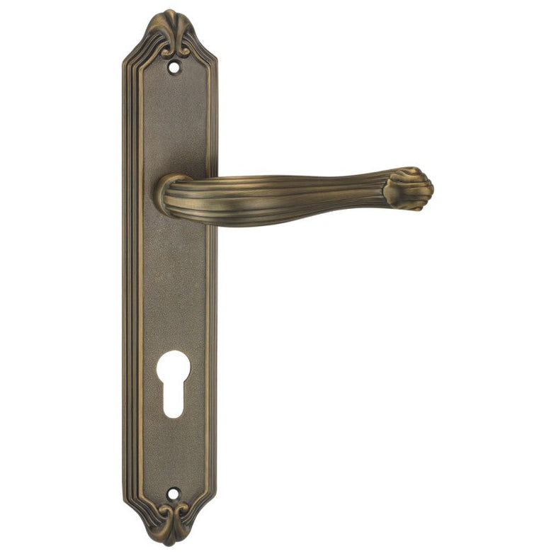 Door Lever on Back Plate