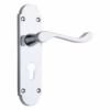 Shaped Scroll Lever on Back Plate lever EuroProfile - Smooth finish - 168mm X 40mm  - Polished Chrome
