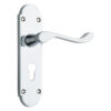 Shaped Scroll Lever on Back Plate lever EuroProfile - Smooth finish - 168mm X 40mm  - Polished Chrome