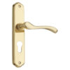 Lever on Back Plate Pavone Exclusive Range Lever EuroProfile - 195mm X 38mm  - Polished Chrome