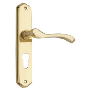 Lever on Back Plate Pavone Exclusive Range Lever EuroProfile - 195mm X 38mm  - Polished Chrome