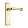 Lever on Back Plate (Regalo Series Lever Euro Profile) -180mm x 41mm  - Polished Brass