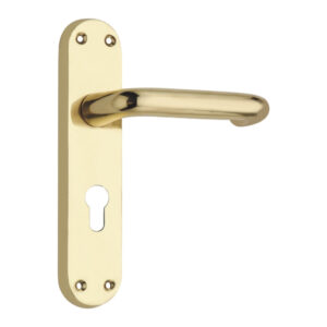 Lever on Back Plate (Regalo Series Lever Euro Profile) -180mm x 41mm  - Polished Brass