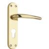 Lever on Back Plate (Honorius Series Lever Latch) -180mm x 41mm  - Polished Brass