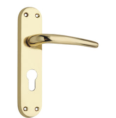 Lever on Back Plate (Honorius Series Lever Latch) -180mm x 41mm  - Polished Brass