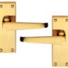 Lever on Back Plate Jovian -  Sort Lever Latch - Classic design 110mm x 40mm  - Polished Brass
