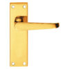 Lever on Back Plate Jovian -  Lever Latch - Classic design 150mm x 40mm  - Polished Brass