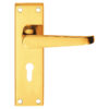 Lever on Back Plate Jovian -  Lever Euro Profile Lock -150x4Omm - standard design  - Polished Brass