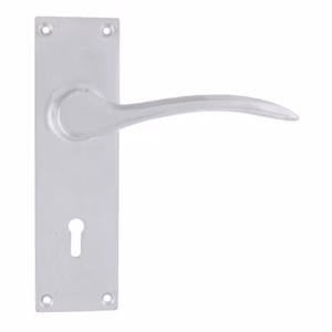Mina Lever on back plate with Lock Handle with size 150mm x 50mm  - Polished Brass