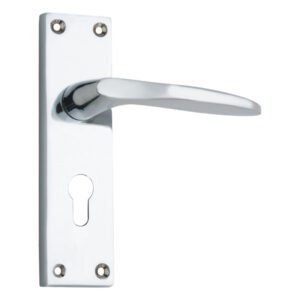 Probus Lever on back plate with Lock Handle with size 150mm x 50mm  - Polished Brass