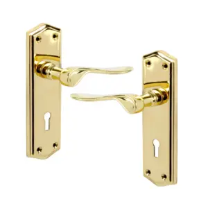 Shape Lever on Lock Back Plate