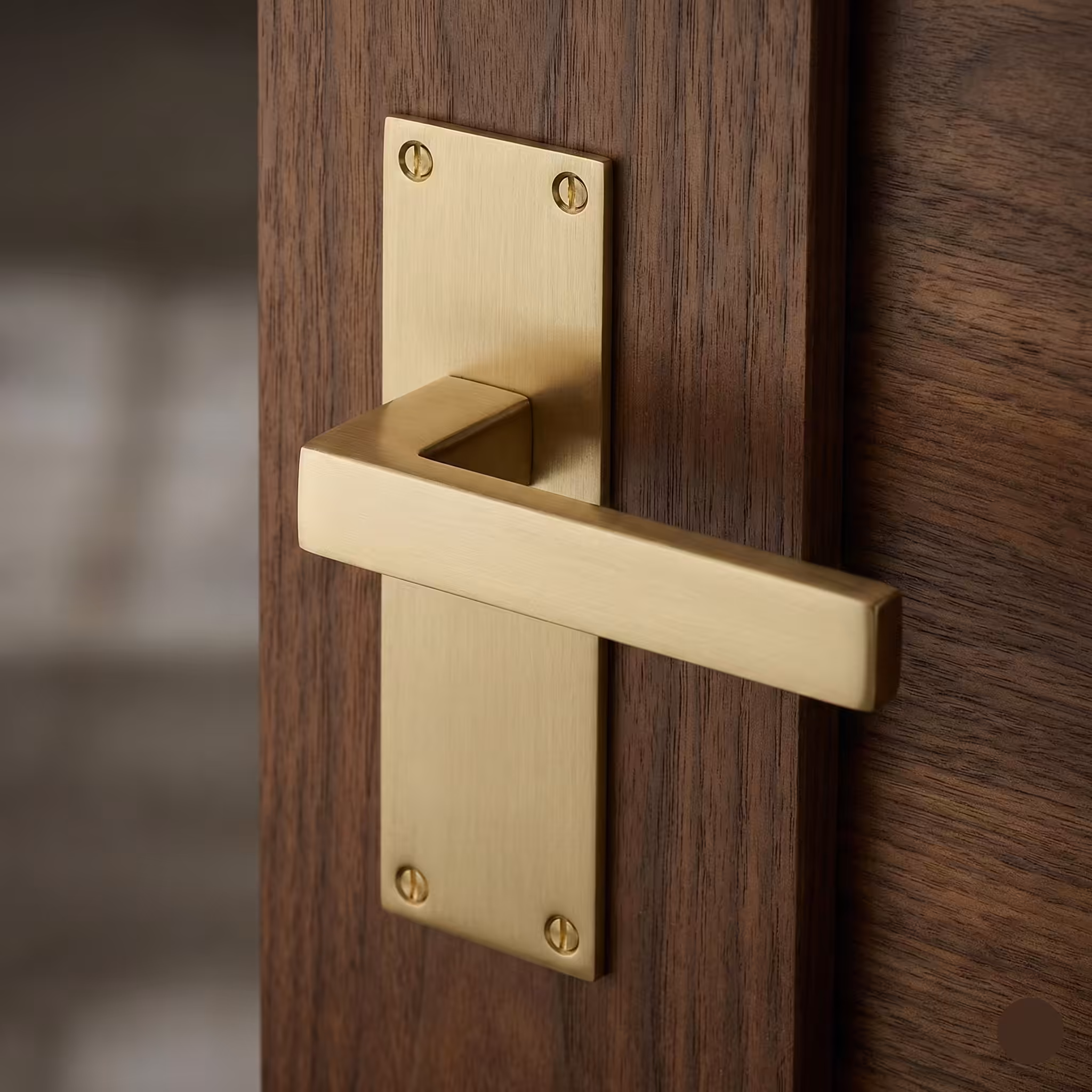 Door Handles On Backplate