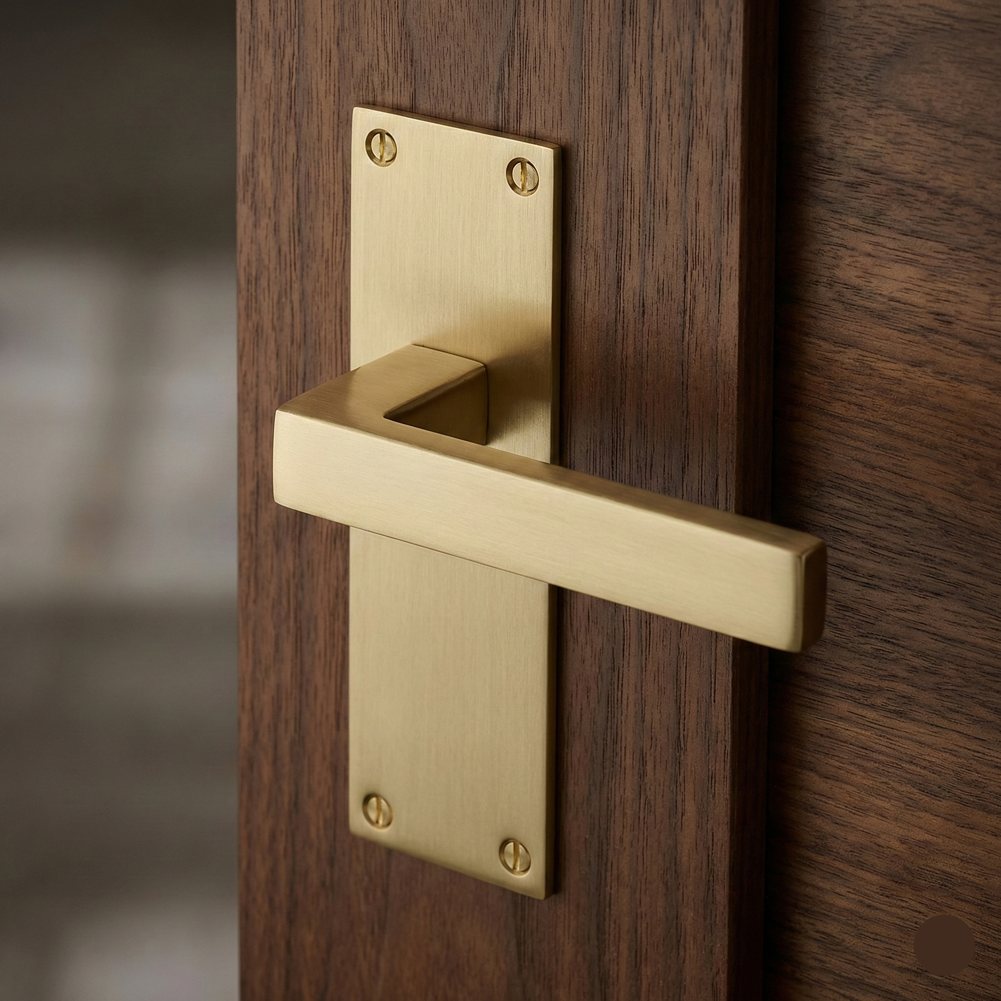 Door Handles On Backplate