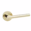Petra Door Handles
