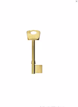 ZBSC Genuine British Standard Mortice Key Blank PB