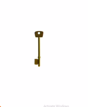 3G110 Electro-Brass Copy Rim Length Key Blank