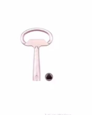 C073 Camlock Key